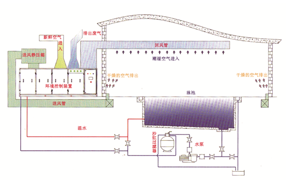 瀚宇水處理：如果做好這些，奧運(yùn)泳池怎么會(huì)“綠”?